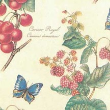 Fruit & Butterfly Print Paper ~ Kartos Italy